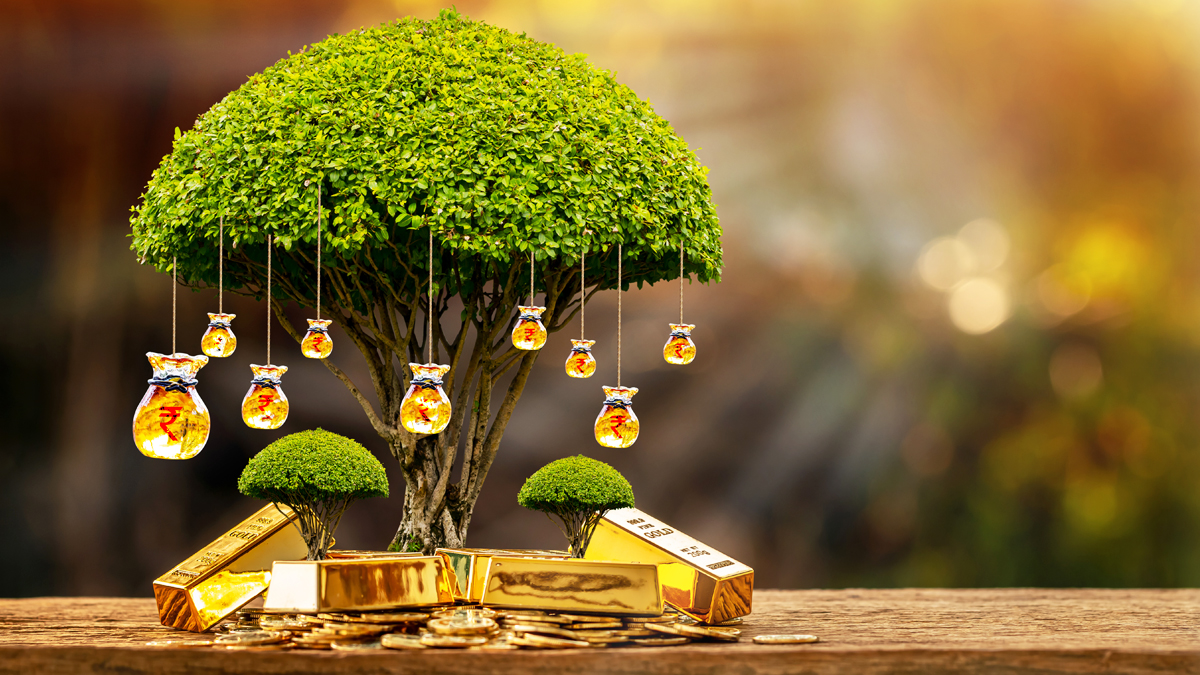 Gold Loan Basics: Read This Before Pledging Your Gold 7 All you need to know about Gold Loan