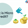 What is Micro Credit Benefits Of Micro Credit