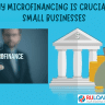 Why Microfinancing is Crucial to